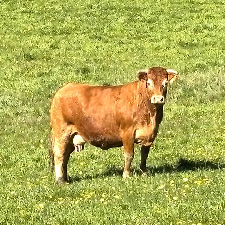La Grange En Segala Сasa de vacaciones *